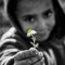 bulud
