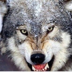 gadahfkexkb208@outlook.com