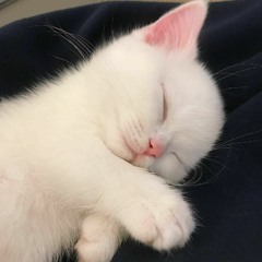❤