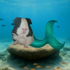 𝑤𝑜𝑛𝑒𝑒 ♡