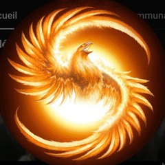 S∆ÏD.KONÆN.
