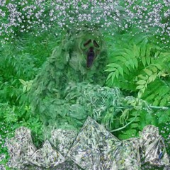 sylphmanerivershawty