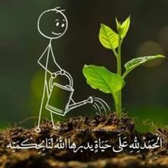 علي بن محمد امانة يا طيار