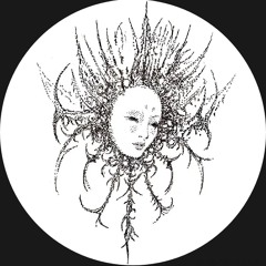 xixiξξ