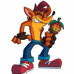 crash bandicoot