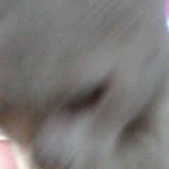 ONNO