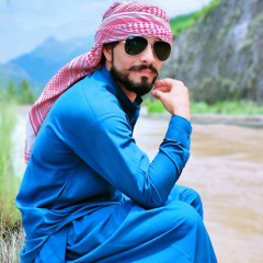 daji 320