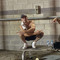 Braydonpilbeam
