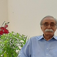 Rezagholi