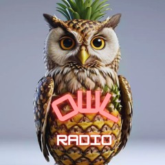 Rádio Owl