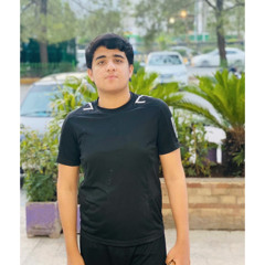 Mir Awais