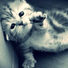 sickk###))))