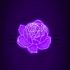 12k (ambient, drone, field recordings)