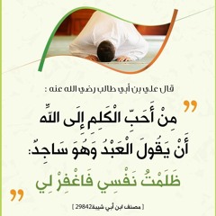 الباحث عن الحق