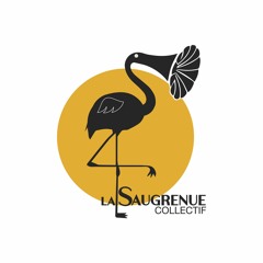 Collectif La Saugrenue-Tours(37)