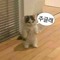 강무빈