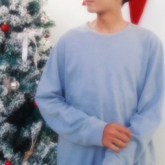 Bboss