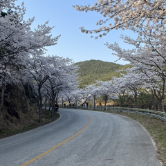 예뻤어