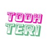 Todh Teri artist profile