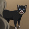 TNTCATanimates