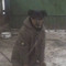 Jony