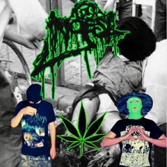 INGEST