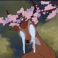 no roo