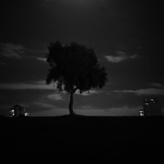 Electric Relaxation (Mashup)