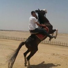 شريف وفيق محمود