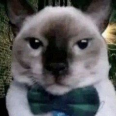 professorbussybruiser