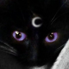 Night Cat :3