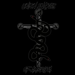 Union Snakes Of Amerika
