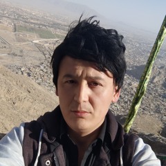 zulfiqar Ali Muhammadi