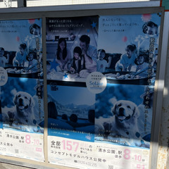 あほゲひっこぬくゾ！