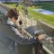 James Boyall Sport