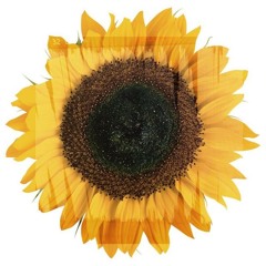 Солнечный Денёк