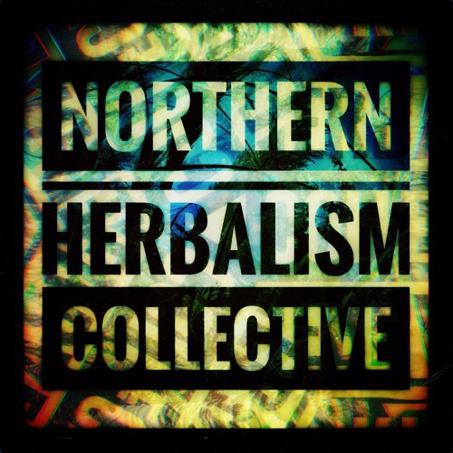 2ROBOTfly - Northern Herbalism Collective’s avatar