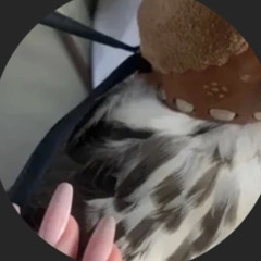 𝘙𝘦 ོ