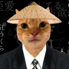 彡奇塔Kitaec耶茨彡