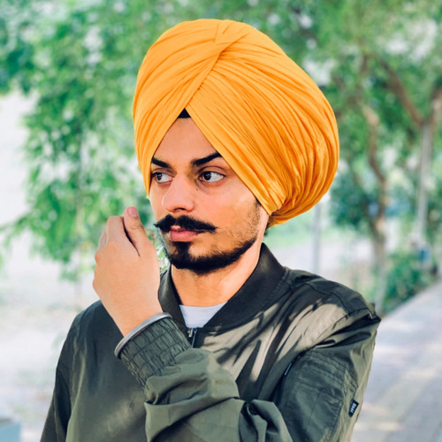 Ravjot singh Bajwa’s avatar