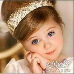 روضة الهادي