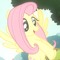 Echostarzz