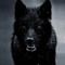 Darkstar