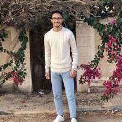 Mahmoud M Fawzy