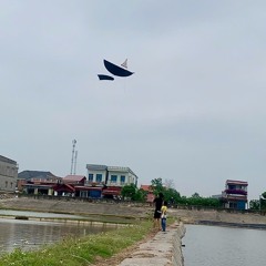 Trường Hải