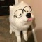 неошка