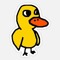 The Duck