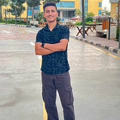 Amir Ayman