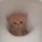 zak_