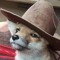 🦊